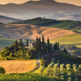 Cata de Vinos en la Toscana: Te muestro los sabores italianos