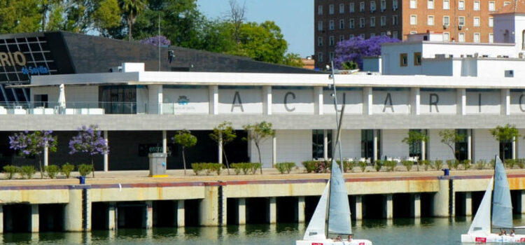 Cómo llegar al Acuario de Sevilla: tips y recomendaciones