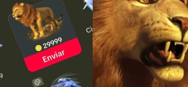Cuánto vale un león en TikTok en España: Descúbrelo aquí