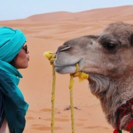 Cómo montar en camello en Tenerife: una experiencia inolvidable
