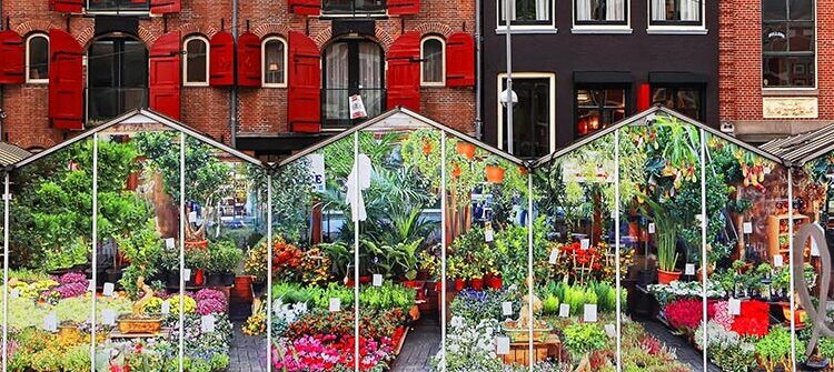 El mercado de las flores de Ámsterdam: una visita obligada