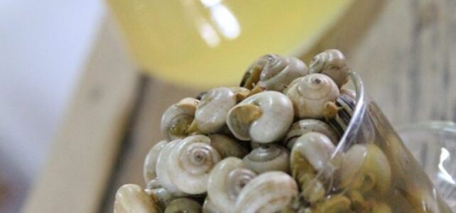 Propiedades de los caracoles: ¿Colesterol alto o saludable?