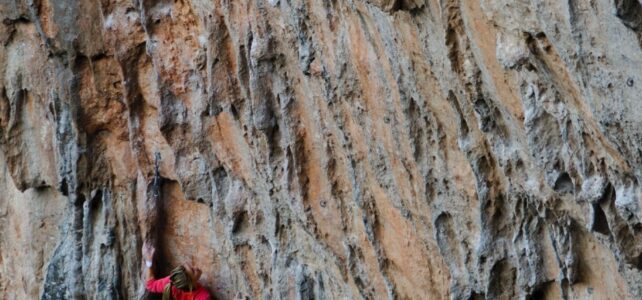 La escalada a la vida online: Consejos para triunfar digitalmente