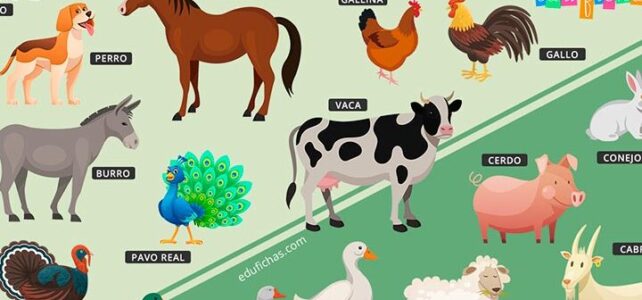 Animales que viven en la granja: Una mirada cercana