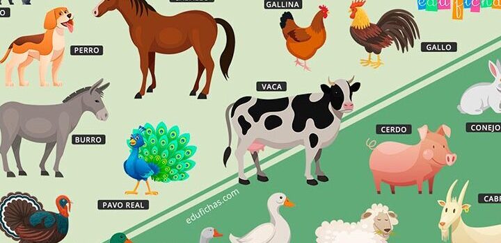 Animales que viven en la granja: Una mirada cercana