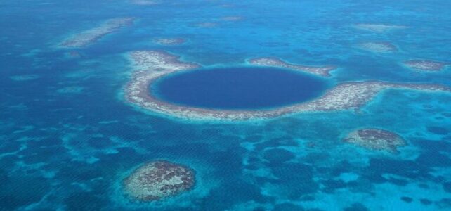 Los arrecifes de coral más grandes del mundo, maravillas submarinas Los arrecifes de coral más grandes del mundo, maravillas submarinas