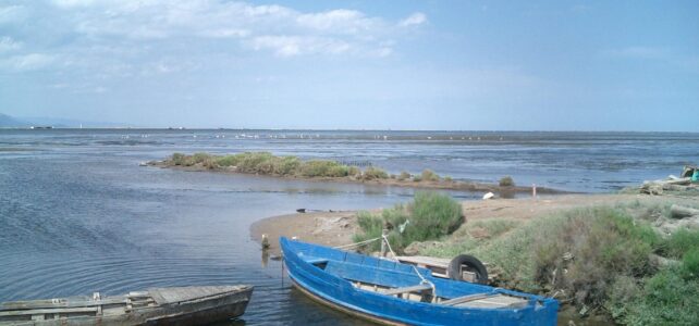 La distancia de Peñíscola al Delta del Ebro: ¿Cuánto es? La distancia de Peñíscola al Delta del Ebro: ¿Cuánto es?
