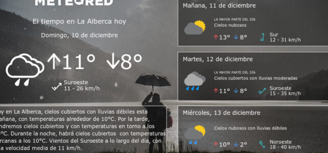 Disfruta del tiempo por horas en la alberca, ¡no te pierdas la diversión!