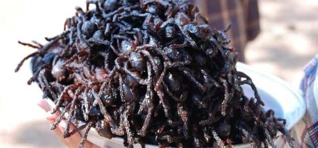 Las comidas más raras del mundo: ¡Sorpréndete con estas delicias!