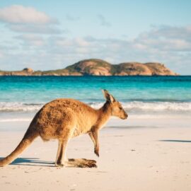 El mejor mes para viajar a Australia: guía de temporada