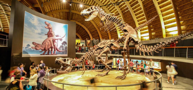Te muestro los museos de Asturias ideales para los niños