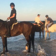 Paseo a caballo por la playa de Valencia: una experiencia única