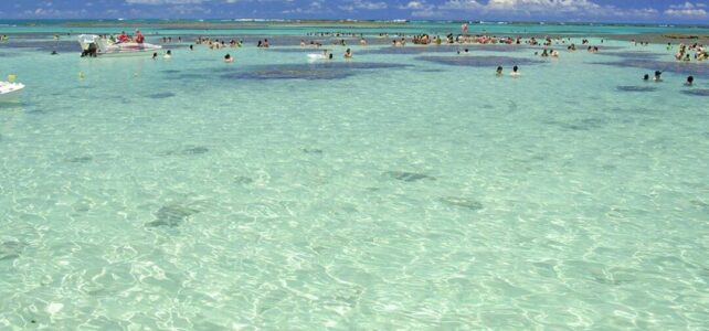 Playas del norte de Brasil: paraíso tropical y diversión