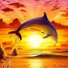 Puesta de sol en el mar con delfines: un espectáculo inolvidable