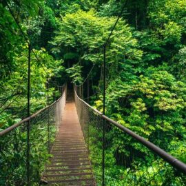 Qué hacer en Monteverde, Costa Rica: actividades imperdibles y aventuras