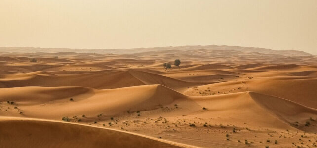 Temperatura en el desierto del Sahara: un desafío extremo