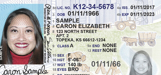 ¿Vale el carnet de conducir para volar?