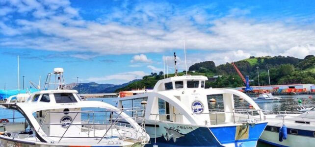 Explorando en barco Bermeo y San Juan de Gaztelugatxe: una aventura costera