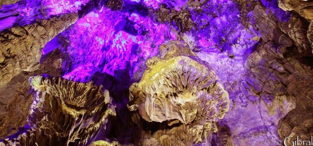 Oferta especial: ¡Boletos para la Cueva de San Miguel! Oferta especial: ¡Boletos para la Cueva de San Miguel!