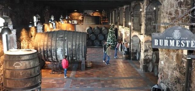 ¿Cuál es la mejor bodega de Oporto para visitar? ¿Cuál es la mejor bodega de Oporto para visitar?