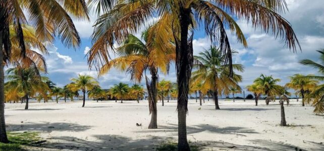 Cuando es verano en Cuba: clima, playas y actividades Cuando es verano en Cuba: clima, playas y actividades