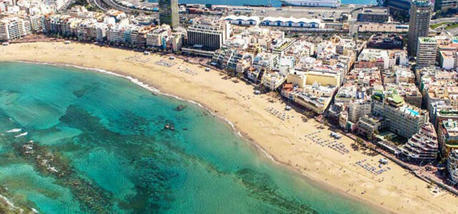 Imágenes de las palmas de Gran Canaria: la belleza canaria Imágenes de las palmas de Gran Canaria: la belleza canaria