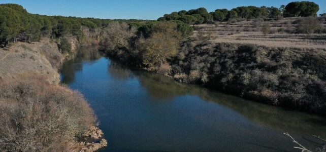 Ir a Pedrajas de San Esteban: un destino por descubrir Ir a Pedrajas de San Esteban: un destino por descubrir