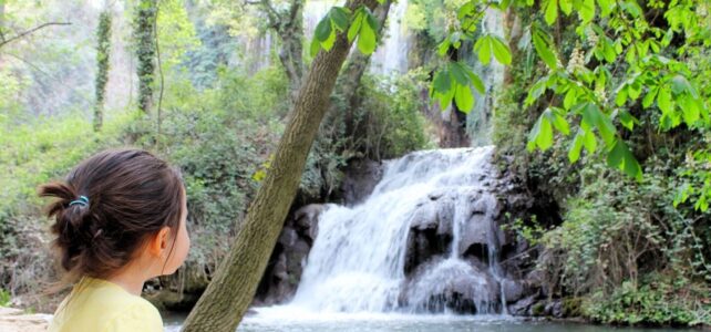 Conoce la belleza del Monasterio de Piedra con niños Conoce la belleza del Monasterio de Piedra con niños