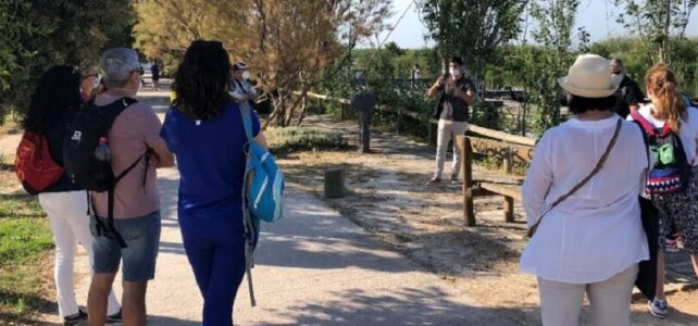 Parque Natural de la Albufera: Visitas Guiadas disponibles para explorar Parque Natural de la Albufera: Visitas Guiadas disponibles para explorar