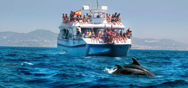 Paseo en barco para ver delfines: una experiencia inolvidable Paseo en barco para ver delfines: una experiencia inolvidable