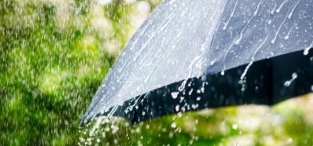 Qué hacer en Granada cuando llueve: planes para disfrutar Qué hacer en Granada cuando llueve: planes para disfrutar