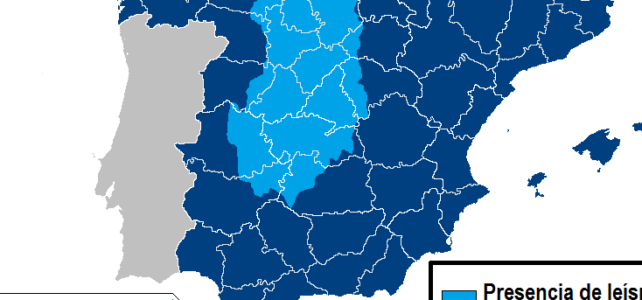¿Qué idioma se habla en Soria, España? ¿Qué idioma se habla en Soria, España?