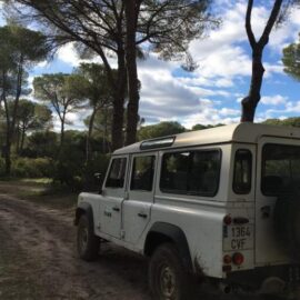 Ruta 4×4 Doñana desde El Rocío: Una Experiencia Inolvidable